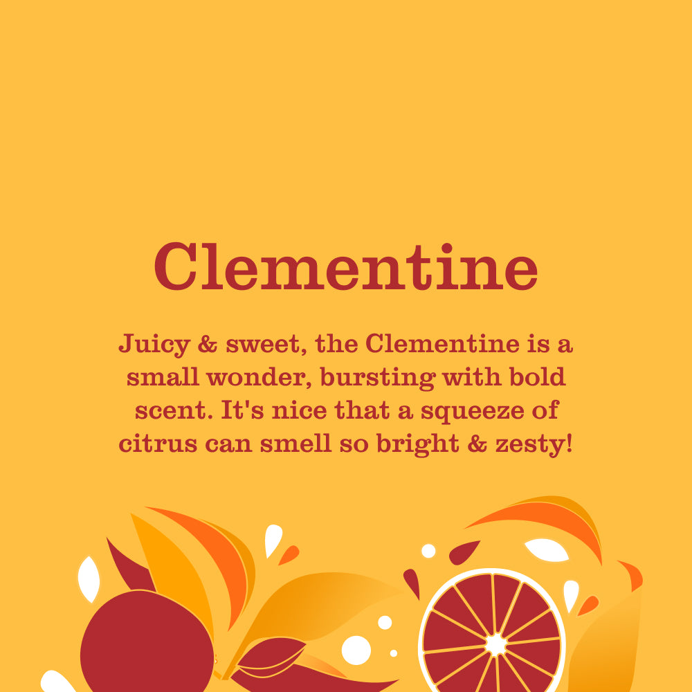 Clementine Dish Soap - Image 3