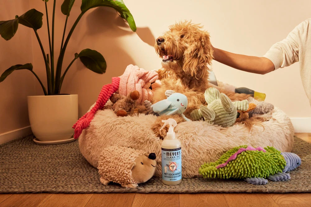 Coconut Leaf Pet Odor Neutralizer - Image 6