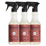 Fall Leaves Multi-Surface Everyday Cleaner 3-count Bundle